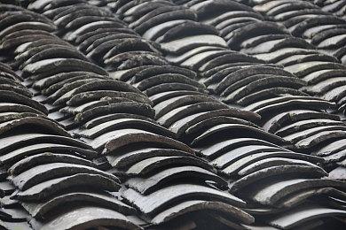 开发者回应《马车：世界》牛牛吃汉堡质疑 原材料是机密