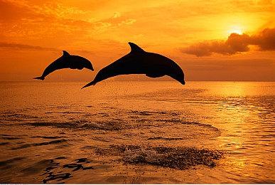 蒸汽平台2023 bilibili发行商特卖再度开启！特卖游戏低至3折